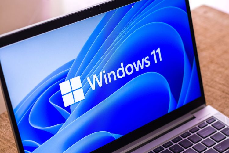 Marktanteil von Windows 11 kommt kaum vom Fleck