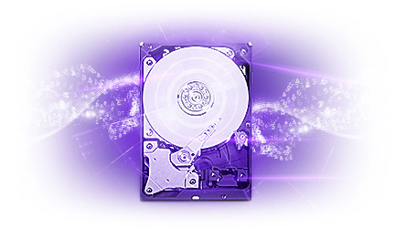 Western Digital lanciert WD-Purple-Serie